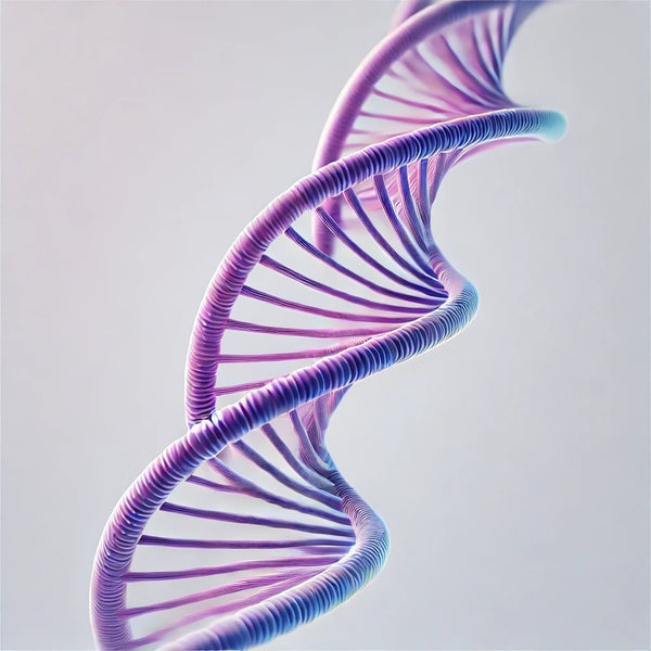 Powering up our DNA